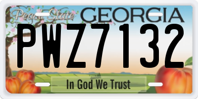 GA license plate PWZ7132