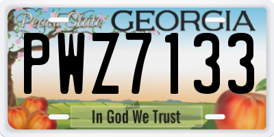 GA license plate PWZ7133