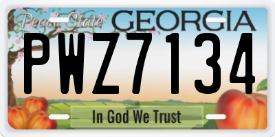 GA license plate PWZ7134