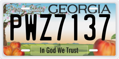 GA license plate PWZ7137