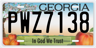 GA license plate PWZ7138