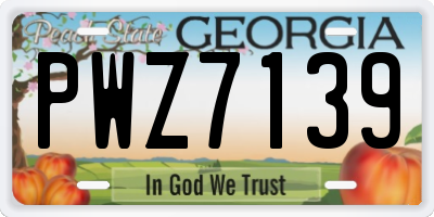 GA license plate PWZ7139
