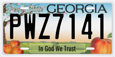 GA license plate PWZ7141
