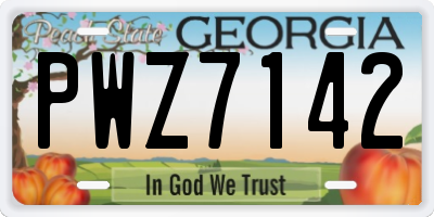 GA license plate PWZ7142