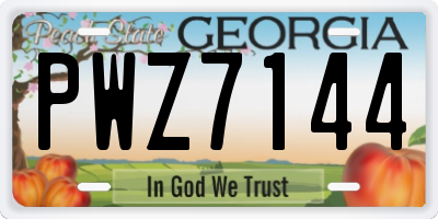 GA license plate PWZ7144