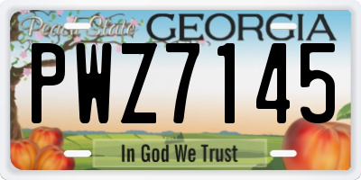 GA license plate PWZ7145