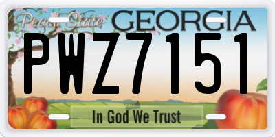 GA license plate PWZ7151