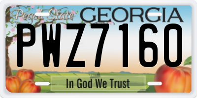GA license plate PWZ7160