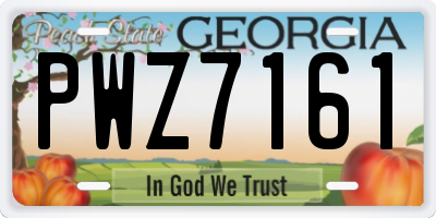 GA license plate PWZ7161