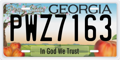 GA license plate PWZ7163