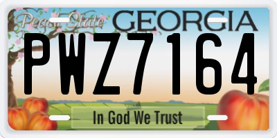 GA license plate PWZ7164