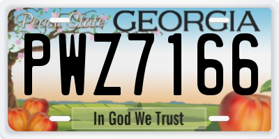 GA license plate PWZ7166