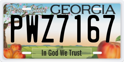 GA license plate PWZ7167