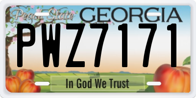 GA license plate PWZ7171
