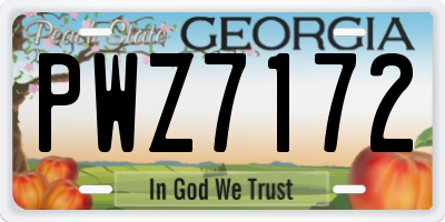 GA license plate PWZ7172