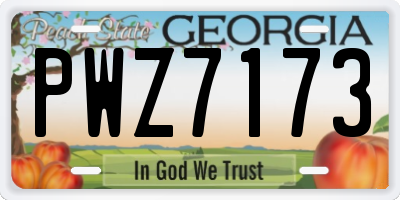 GA license plate PWZ7173