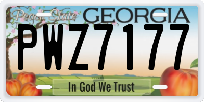 GA license plate PWZ7177