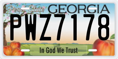 GA license plate PWZ7178
