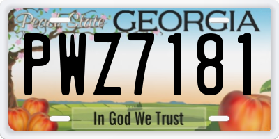GA license plate PWZ7181