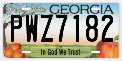 GA license plate PWZ7182