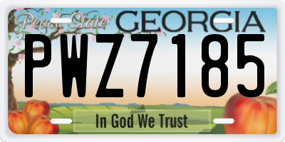 GA license plate PWZ7185