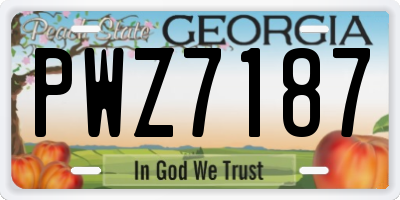 GA license plate PWZ7187
