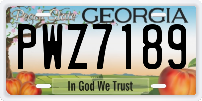 GA license plate PWZ7189