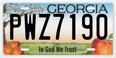 GA license plate PWZ7190