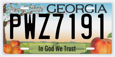 GA license plate PWZ7191