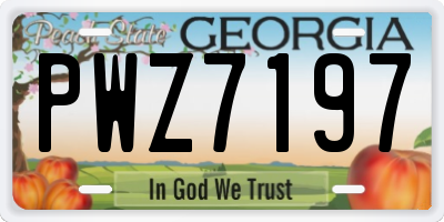 GA license plate PWZ7197