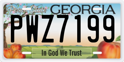 GA license plate PWZ7199