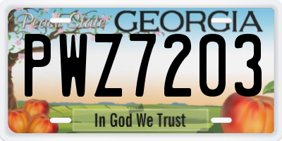 GA license plate PWZ7203