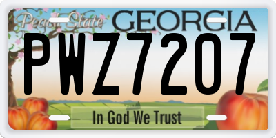 GA license plate PWZ7207