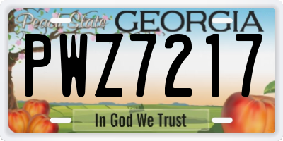 GA license plate PWZ7217