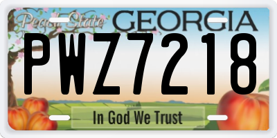 GA license plate PWZ7218