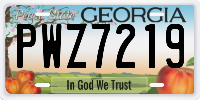 GA license plate PWZ7219