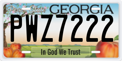 GA license plate PWZ7222