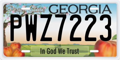 GA license plate PWZ7223