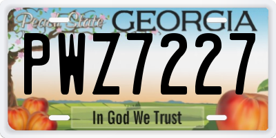 GA license plate PWZ7227
