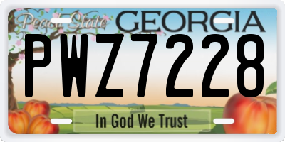 GA license plate PWZ7228