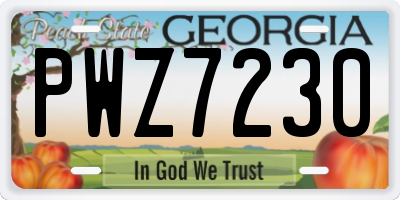 GA license plate PWZ7230