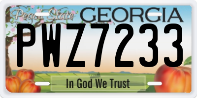GA license plate PWZ7233