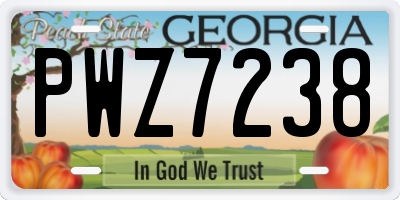 GA license plate PWZ7238