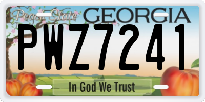 GA license plate PWZ7241