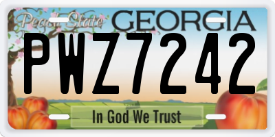 GA license plate PWZ7242