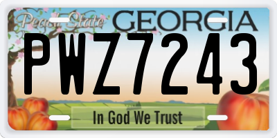 GA license plate PWZ7243