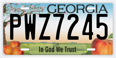 GA license plate PWZ7245