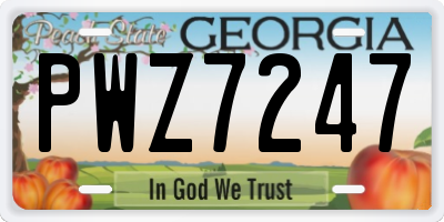 GA license plate PWZ7247