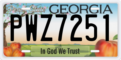GA license plate PWZ7251