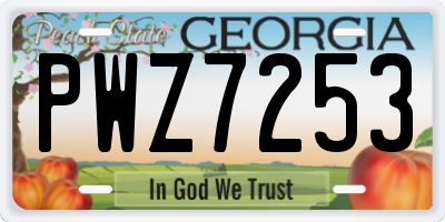 GA license plate PWZ7253